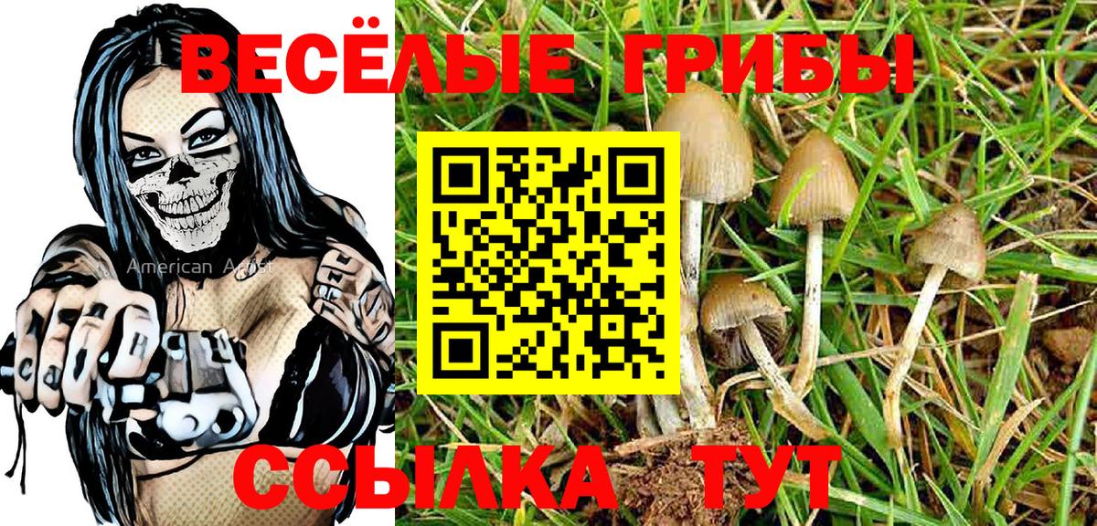 Псилоцибиновые грибы Magic Shrooms  Вход с VPN  Нижневартовск 